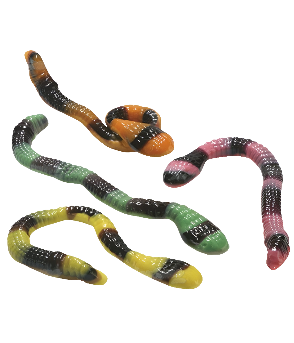 Anaconda XL Vidal à l'unité